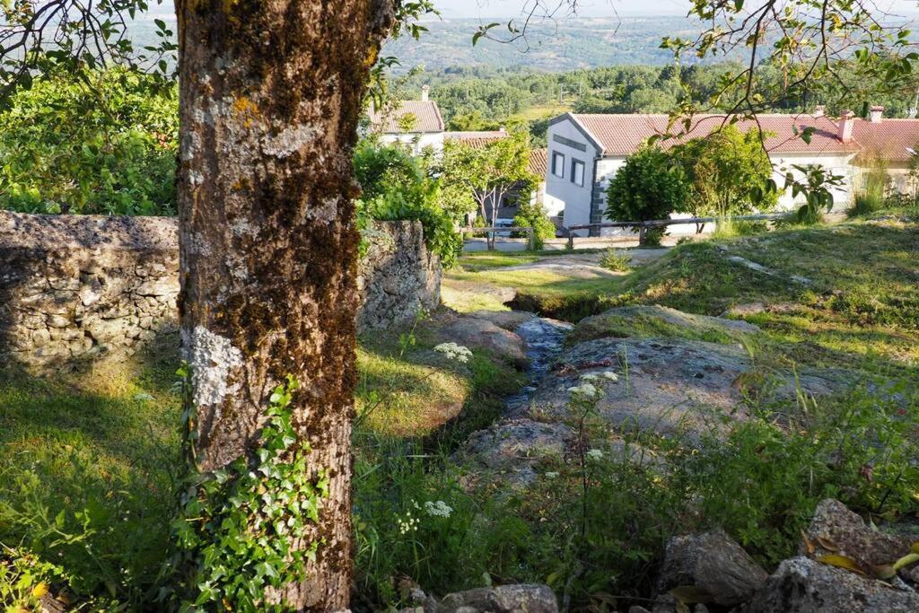 El Bosque De Los Romanos Apartment Puerto de Béjar Екстериор снимка