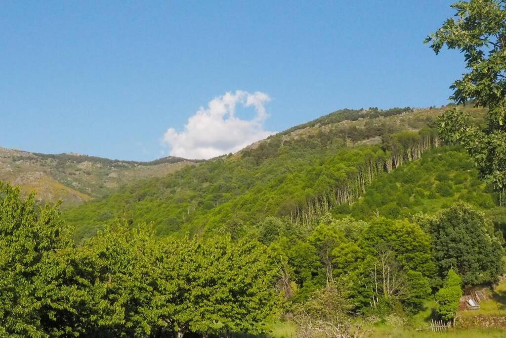 El Bosque De Los Romanos Apartment Puerto de Béjar Екстериор снимка
