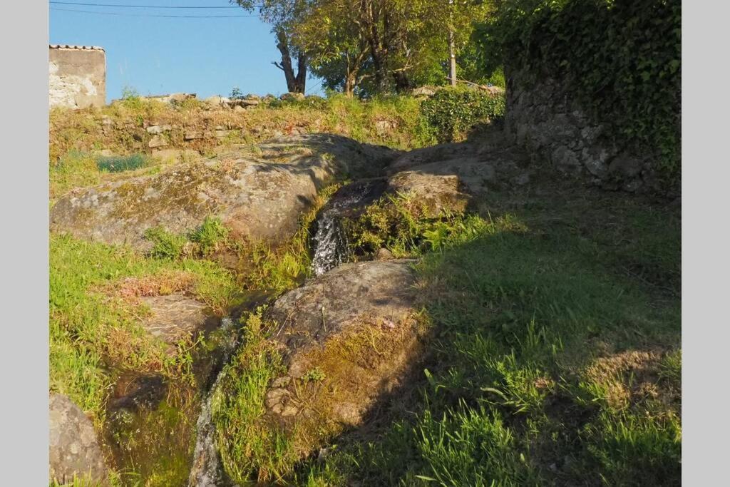 El Bosque De Los Romanos Apartment Puerto de Béjar Екстериор снимка